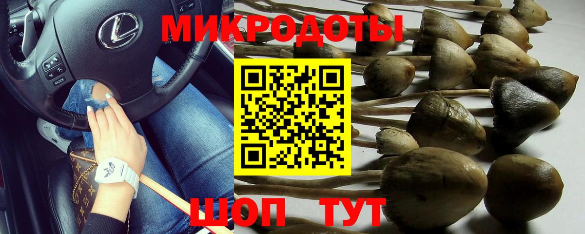 Псилоцибиновые грибы Magic Shrooms  Псилоцибиновые грибы ЛСД  Ковров  Вход с VPN 